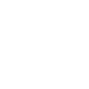 Our Vision